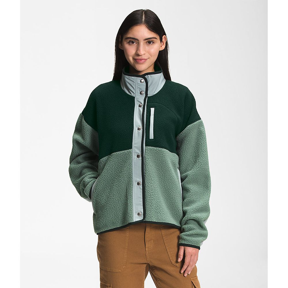 The North Face Fleece Jacket Womens Australia - The North Face Cragmont Green (ZOE-184652)